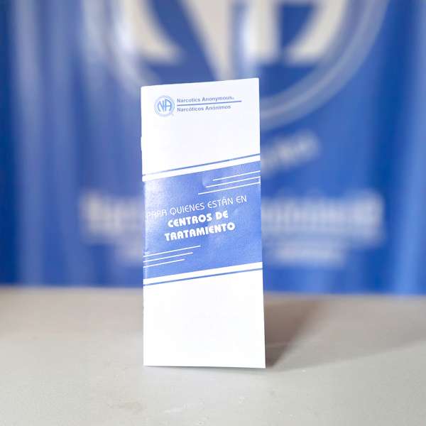 IP #17 Para quienes están en centros de tratamiento