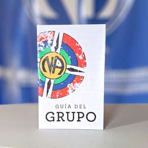 Guía del grupo Nueva