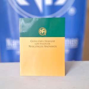 Guía para trabajar los pasos de NA