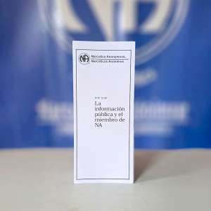 IP #15 La información pública y el miembro de NA