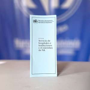 IP #20 Servicio de hospitales e instituciones y el miembro de NA