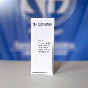 IP #26 Acceso para aquellos que tienen necesidades adicionales