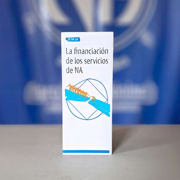 IP #28 La financiación de los servicios de NA