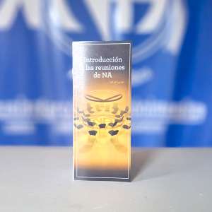 IP #29 Introducción a las reuniones de Narcóticos Anónimos