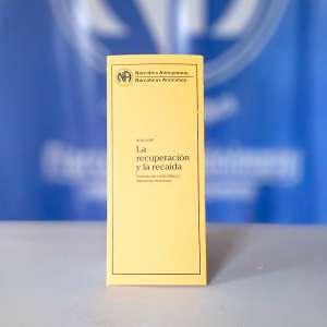 IP #6 La recuperación y la recaída