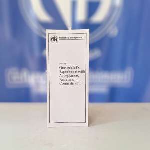 IP #14 One Addict’s Experience…