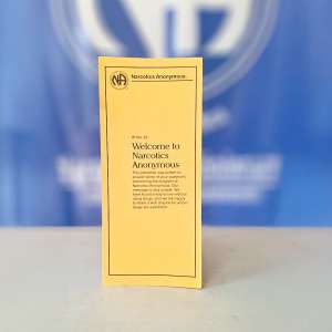 IP #22 Welcome to NA