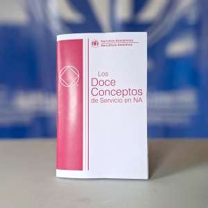 Los Doce Conceptos de Servicio en NA